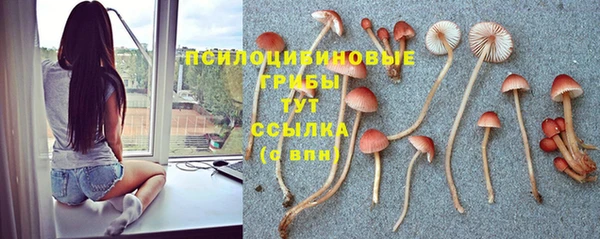 бутират Алзамай