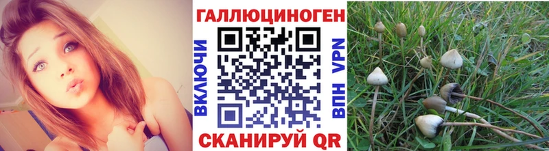 МЕГА ТОР  Ирбит  Галлюциногенные грибы Psilocybe  купить закладку 